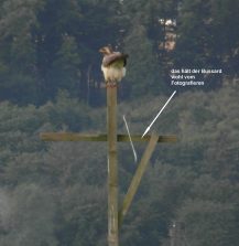 Spaß muss auch mal sein