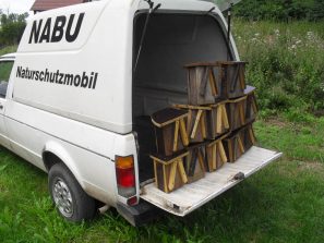 nabuhaselmaus