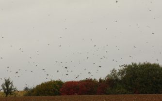 aIMG_0186