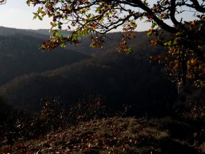 IMG_0063