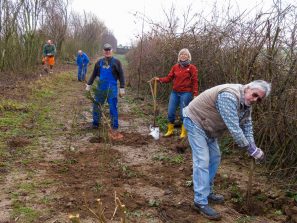 Heckenpflanzung in Birlenbach