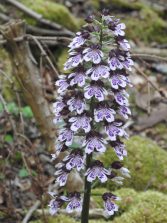 DSCN1348_1_3_1