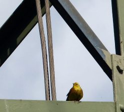 P1170178