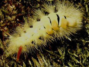 RSCN1704