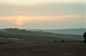 170212 Rehe, Rettert, Zufahrtweg zum Tannenhof (2)