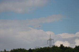 170726 Schwarzstorch (49)