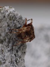 P1230933