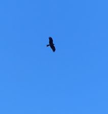 P1220732