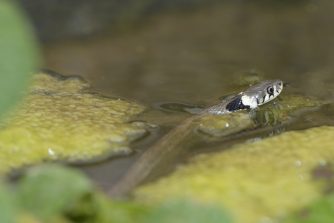 016_2173_00211