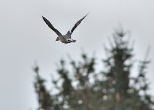 016_2652_00211