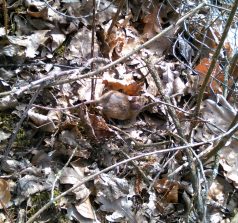 IMG_20190323_103917