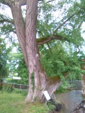 IMG_20190603_153521