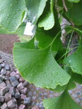IMG_20190603_155832