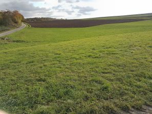 Neue NABU-Wiesenfläche bei Birlenbach