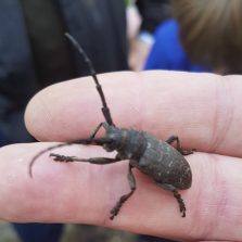 Bock auf NABU-Rundweg!