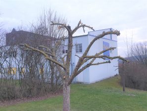 Baumpflege2