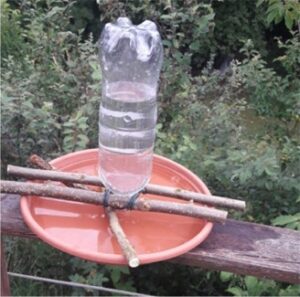 Wasserstellen für die heiße Jahrezeit