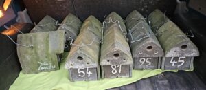 NABU-Thema im Dezember: Gesundheitsrisiken im Vogelschutz?