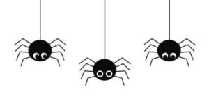 Nosferatu-Spinne